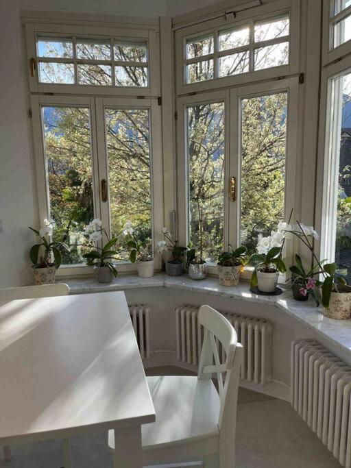 Laurelia Suites Meran Zewnętrze zdjęcie